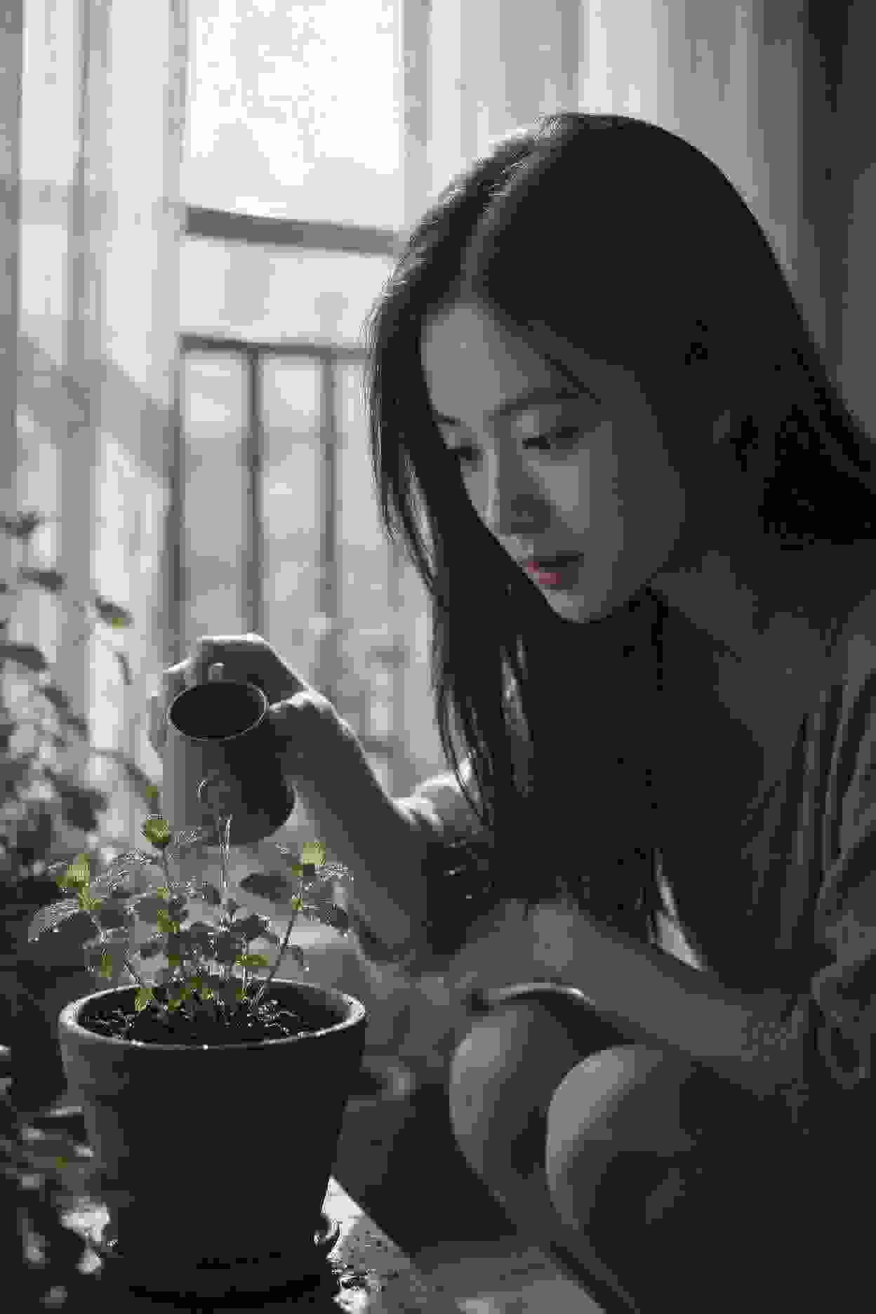网络热剧